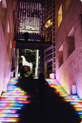 Color of Life：in-design 2004